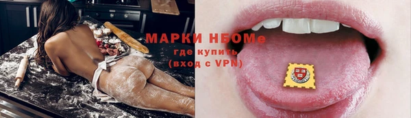 сатива Аркадак