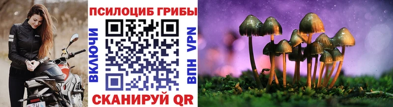 kraken ссылки  Новый Оскол  Галлюциногенные грибы Psilocybe 