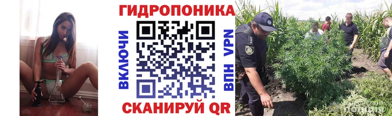 кракен маркетплейс  Новый Оскол  Конопля OG Kush 